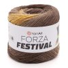 Forza Festival (Форца Фестиваль)