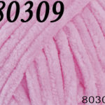 80309