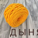 Дыня