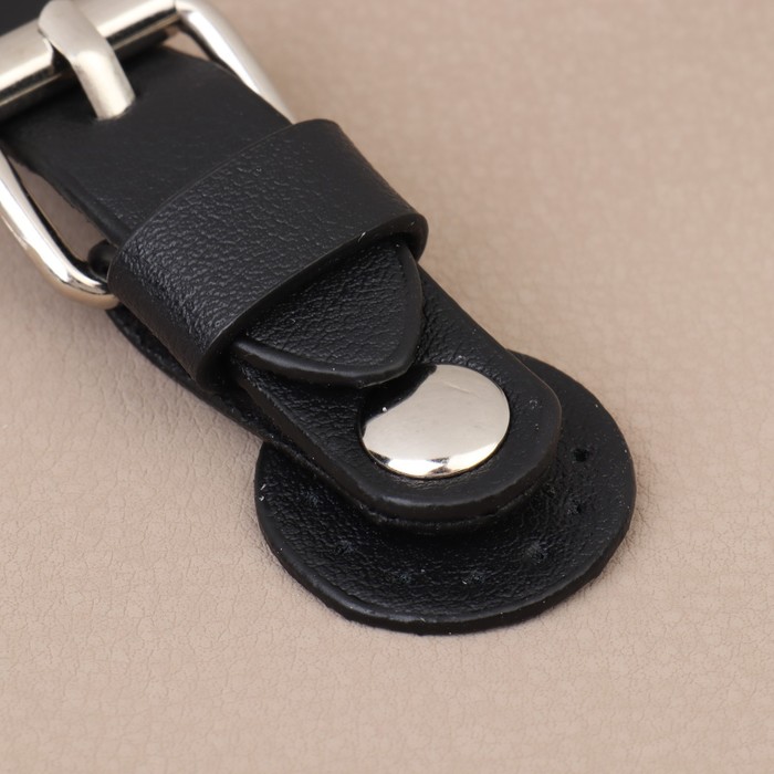 Застёжка для сумки на кнопке, 8×3 см